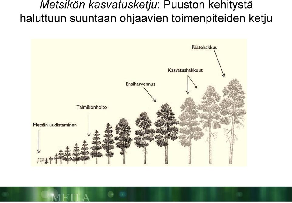 kehitystä haluttuun