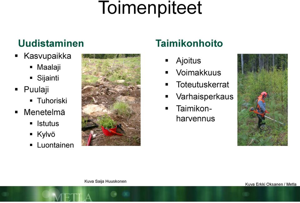 Taimikonhoito Ajoitus Voimakkuus Toteutuskerrat