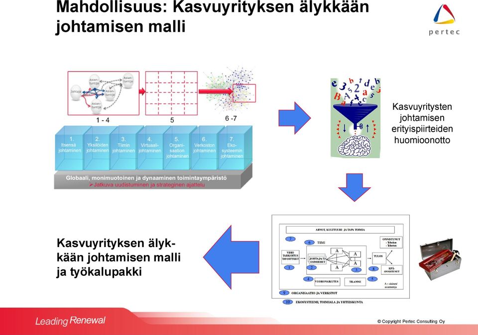 johtamisen erityispiirteiden huomioonotto