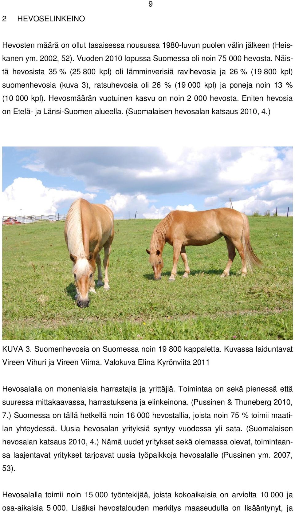 Hevosmäärän vuotuinen kasvu on noin 2 000 hevosta. Eniten hevosia on Etelä- ja Länsi-Suomen alueella. (Suomalaisen hevosalan katsaus 2010, 4.) KUVA 3. Suomenhevosia on Suomessa noin 19 800 kappaletta.