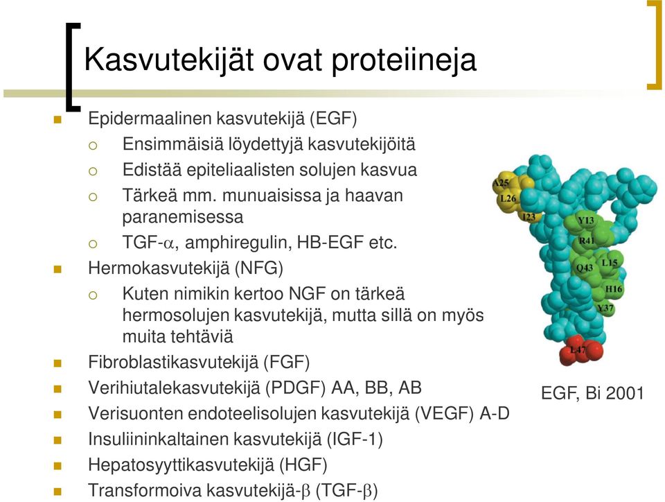 Hermokasvutekijä (NFG) Kuten nimikin kertoo NGF on tärkeä hermosolujen kasvutekijä, mutta sillä on myös muita tehtäviä Fibroblastikasvutekijä