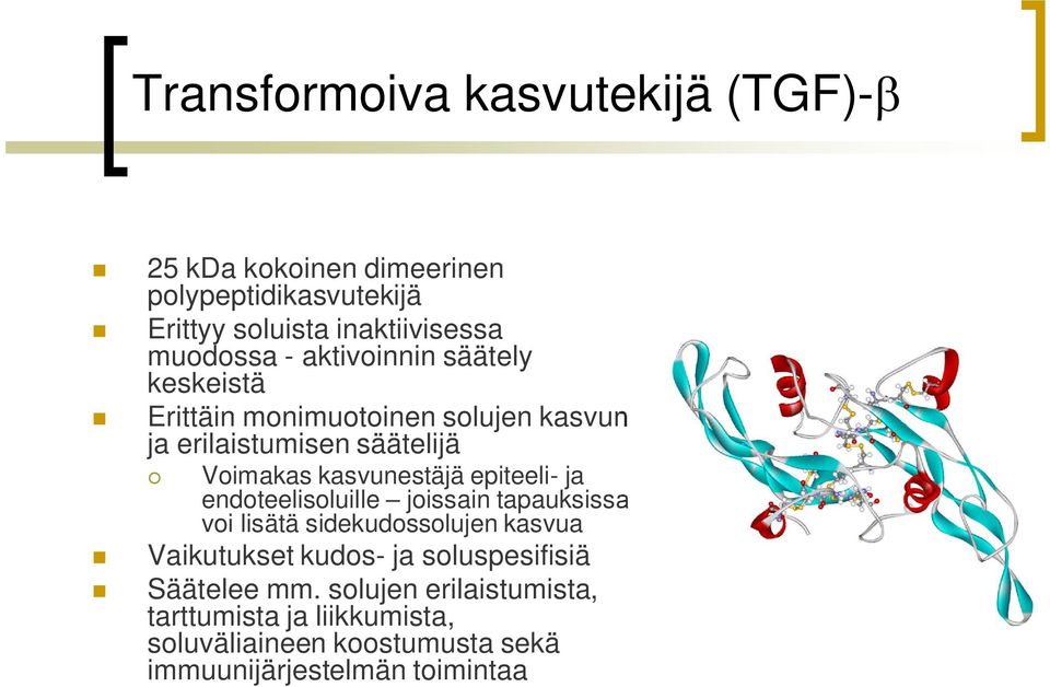 kasvunestäjä epiteeli- ja endoteelisoluille joissain tapauksissa voi lisätä sidekudossolujen kasvua Vaikutukset kudos- ja