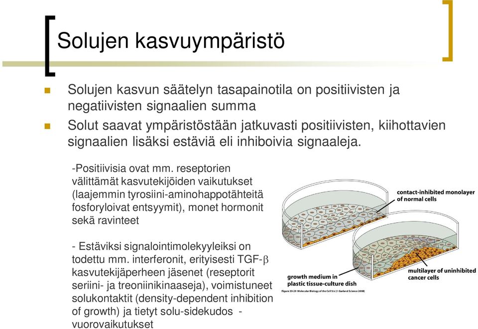 reseptorien välittämät kasvutekijöiden vaikutukset (laajemmin tyrosiini-aminohappotähteitä fosforyloivat entsyymit), monet hormonit sekä ravinteet - Estäviksi