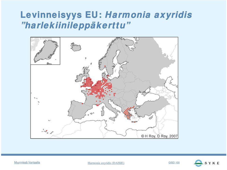 harlekiinileppäkerttu