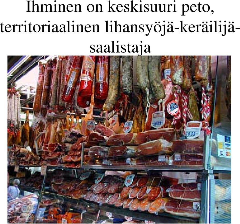 territoriaalinen