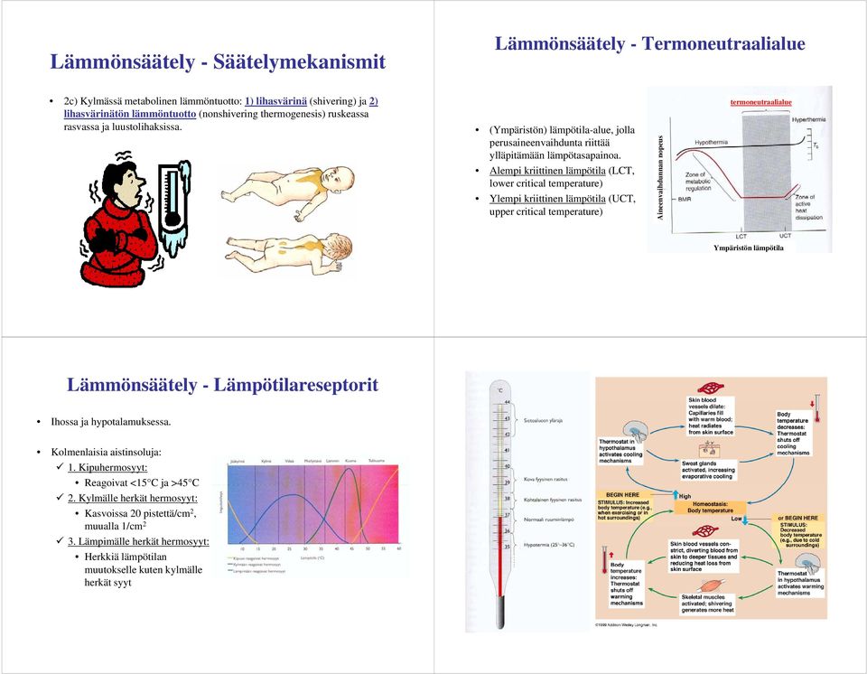 Alempi kriittinen lämpötila (LCT, lower critical temperature) Ylempi kriittinen lämpötila (UCT, upper critical temperature) ihdunnan nop peus Aineenvai termoneutraalialue Ympäristön lämpötila