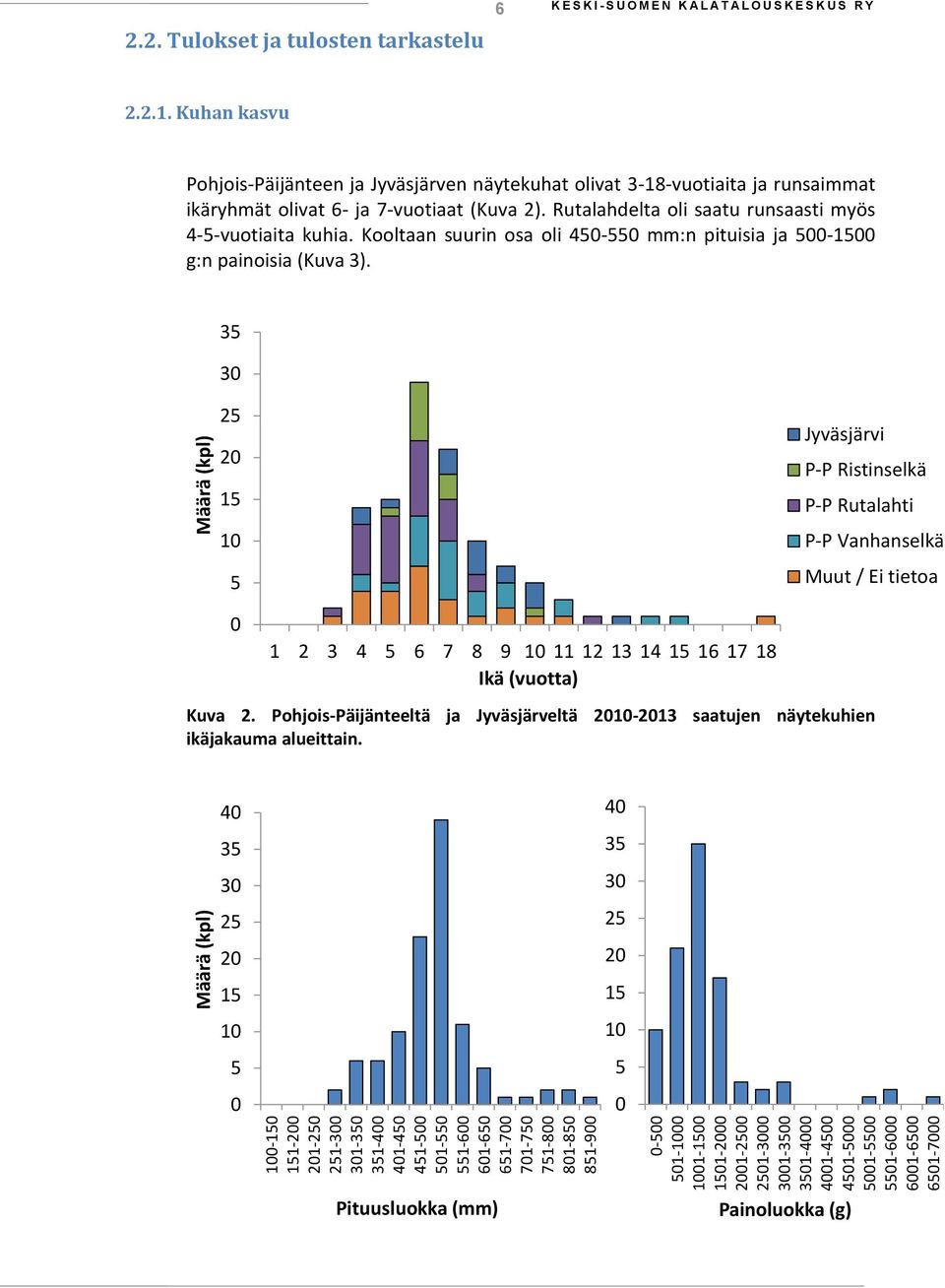 Kuhan kasvu Pohjois-Päijänteen ja Jyväsjärven näytekuhat olivat 3-18-vuotiaita ja runsaimmat ikäryhmät olivat 6- ja 7-vuotiaat (Kuva 2). Rutalahdelta oli saatu runsaasti myös 4-5-vuotiaita kuhia.