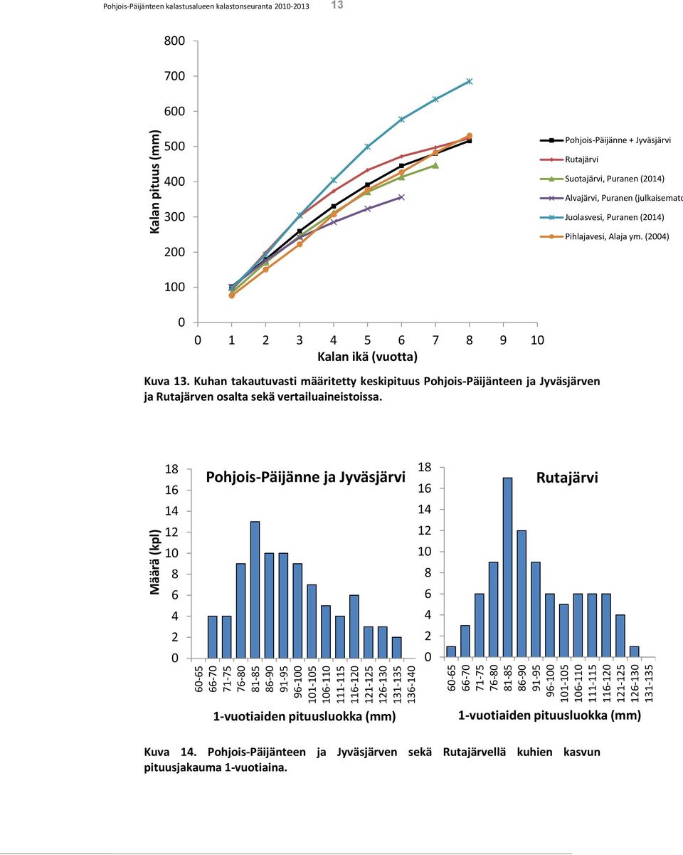 Juolasvesi, Puranen (214) Pihlajavesi, Alaja ym. (24) 1 1 2 3 4 5 6 7 8 9 1 Kalan ikä (vuotta) Kuva 13.