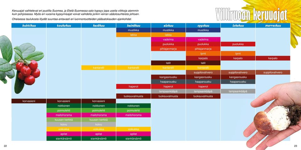 Villiruoan keruuajat huhtikuu toukokuu kesäkuu heinäkuu elokuu syyskuu lokakuu marraskuu mustikka mustikka mustikka lakka lakka vadelma vadelma puolukka puolukka puolukka pihlajanmarja pihlajanmarja