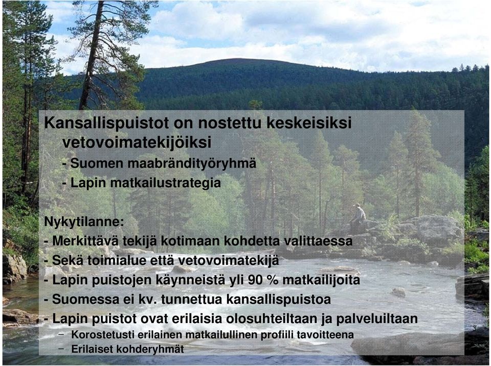 puistojen käynneistä yli 90 % matkailijoita - Suomessa ei kv.