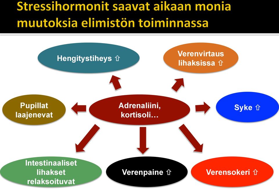 Adrenaliini, kortisoli Syke ñ