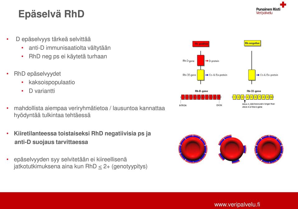 kannattaa hyödyntää tulkintaa tehtäessä Kiiretilanteessa toistaiseksi RhD negatiivisia ps ja anti-d