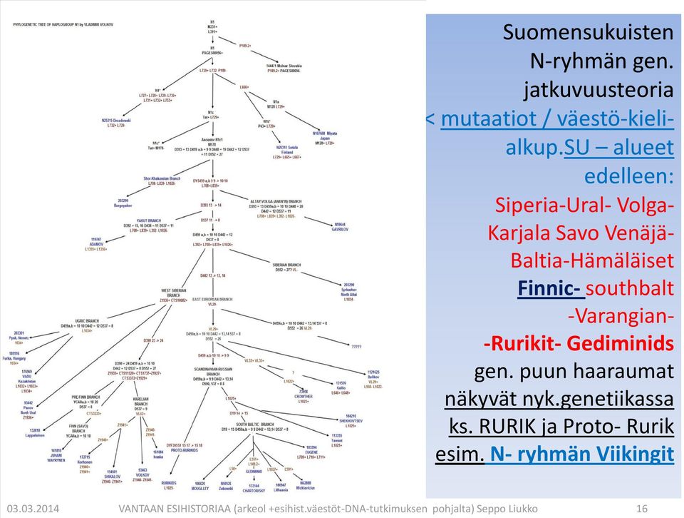 -Varangian- -Rurikit- Gediminids gen. puun haaraumat näkyvät nyk.genetiikassa ks.