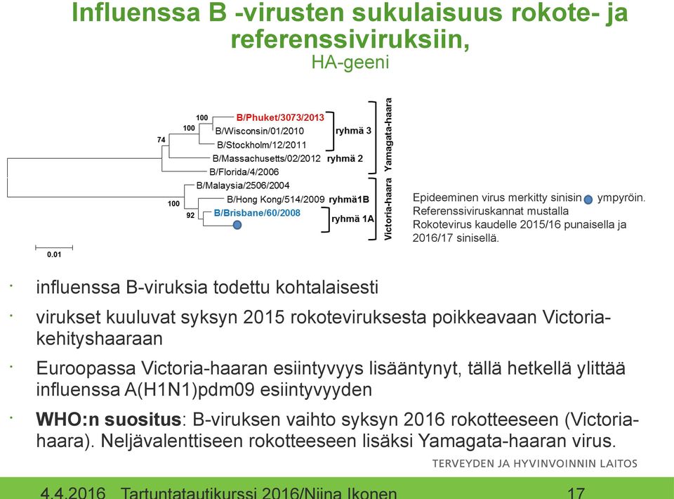 influenssa B-viruksia todettu kohtalaisesti virukset kuuluvat syksyn 2015 rokoteviruksesta poikkeavaan Victoriakehityshaaraan Euroopassa