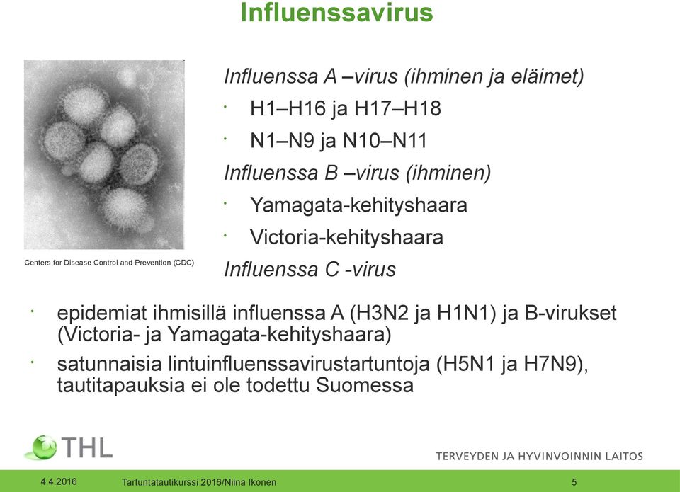 Victoria-kehityshaara Influenssa C -virus epidemiat ihmisillä influenssa A (H3N2 ja H1N1) ja B-virukset