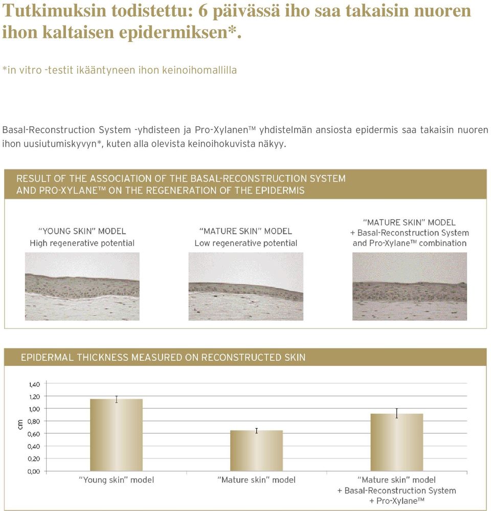 *in vitro -testit ikääntyneen ihon keinoihomallilla Basal-Reconstruction
