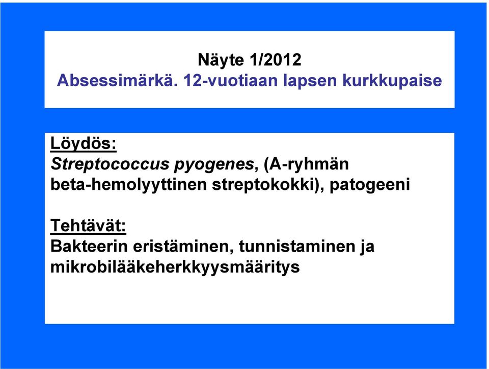 pyogenes, (A-ryhmän beta-hemolyyttinen streptokokki),