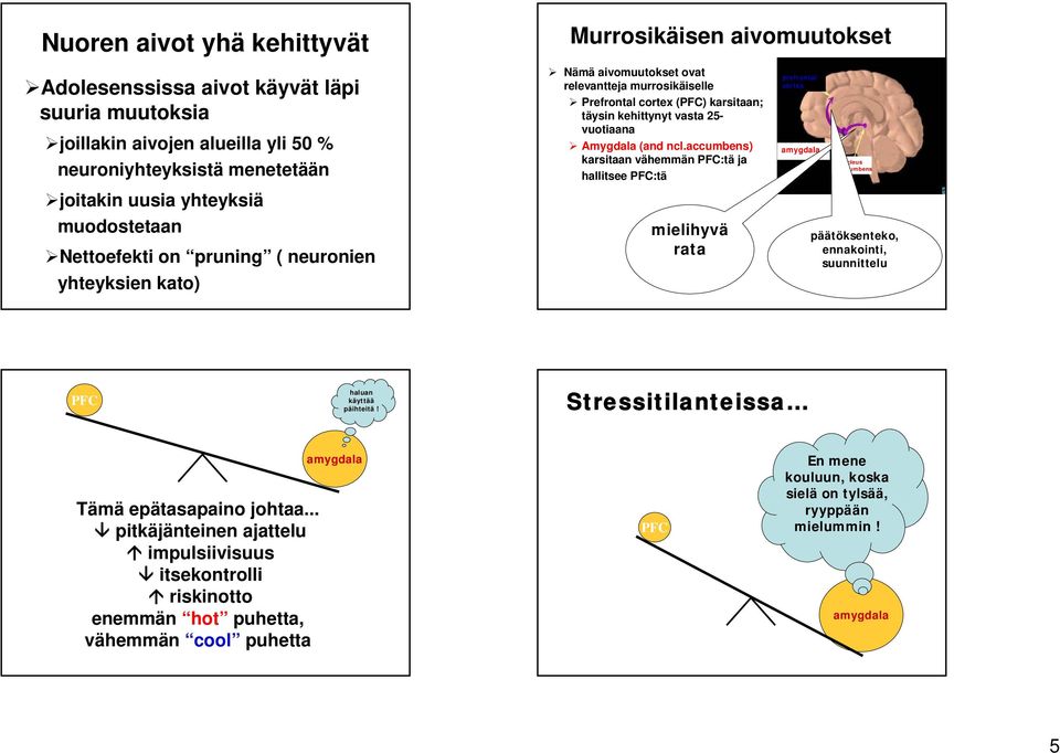 (and ncl.accumbens) karsitaan vähemmän PFC:tä ja hallitsee PFC:tä mielihyvä rata prefrontal cortex amygdala nucleus accumbens päätöksenteko, ennakointi, suunnittelu PFC haluan käyttää päihteitä!