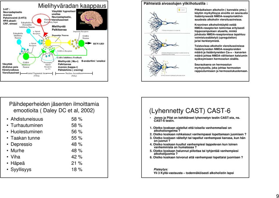 Excitatory Input Mielihyvää Palkitsevaa Dopamine Receptors Presynaptic Opioid Receptors (μ, δ?