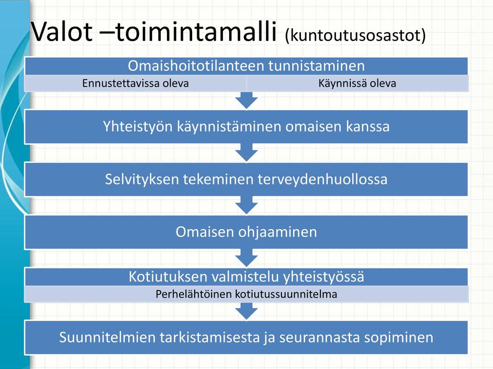 Selvityksen tekeminen terveydenhuollossa Omaisen ohjaaminen Kotiutuksen valmistelu