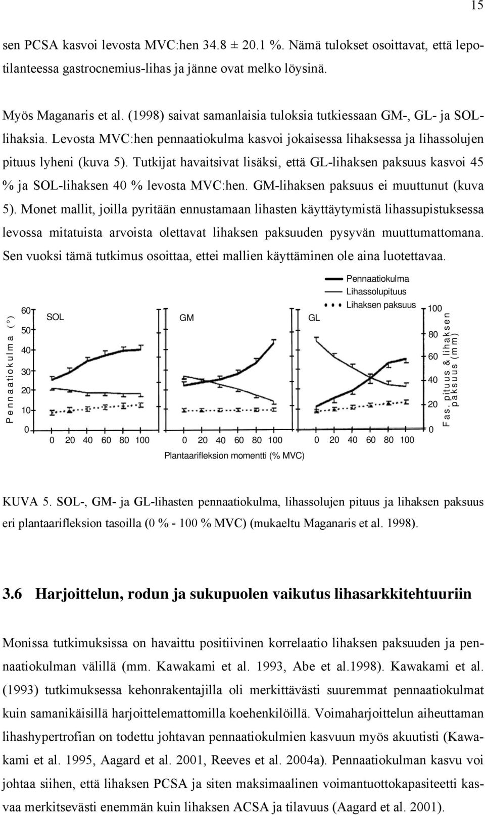 Tutkijat havaitsivat lisäksi, että GL-lihaksen paksuus kasvoi 45 % ja SOL-lihaksen 40 % levosta MVC:hen. GM-lihaksen paksuus ei muuttunut (kuva 5).