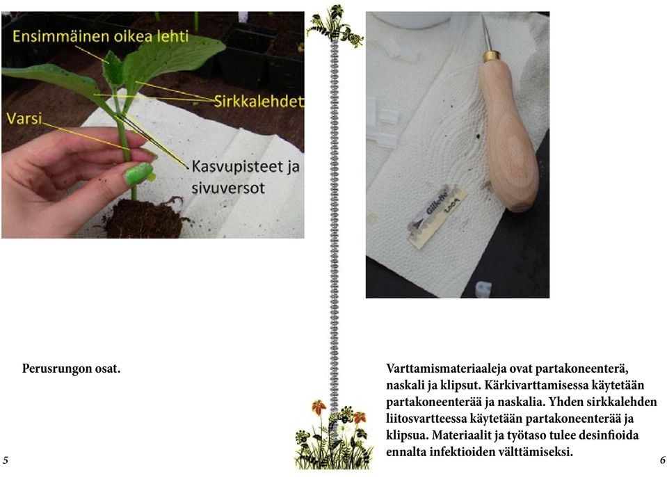 Kärkivarttamisessa käytetään partakoneenterää ja naskalia.