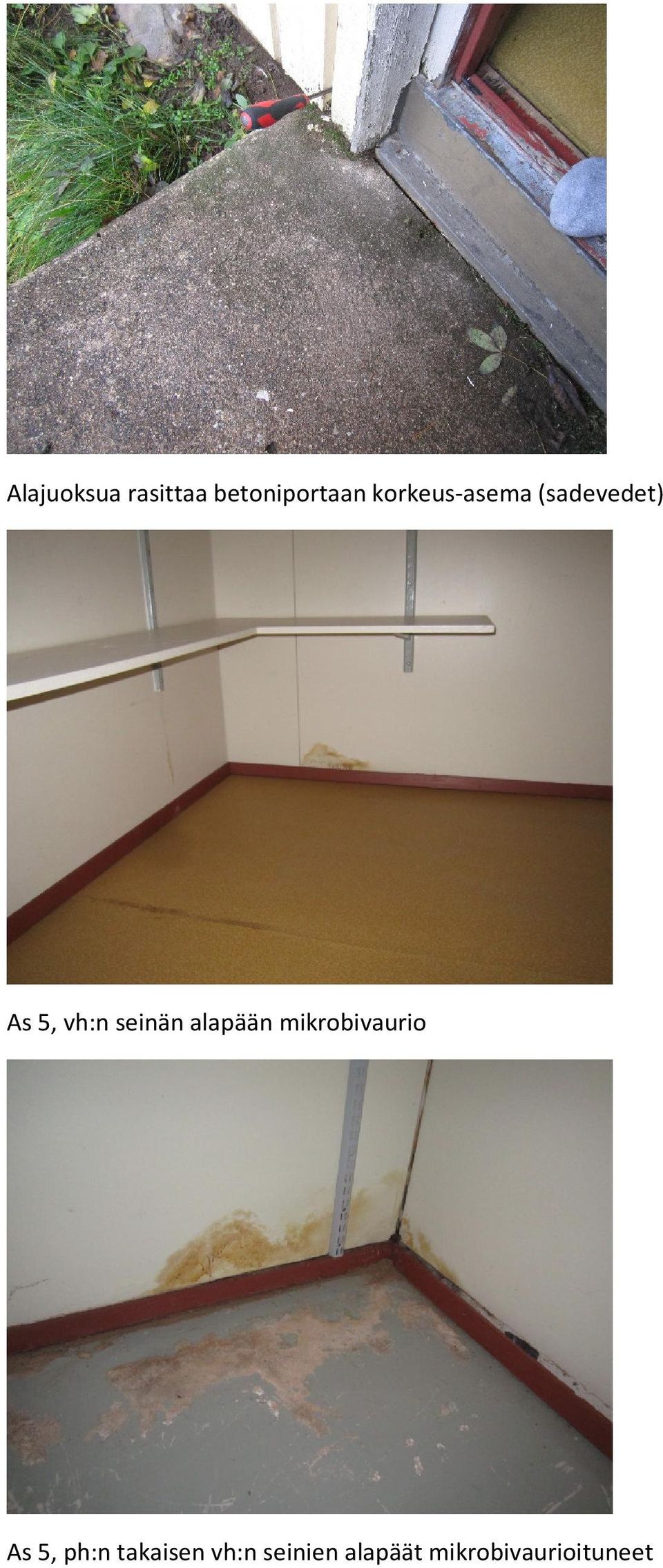 seinän alapään mikrobivaurio As 5, ph:n