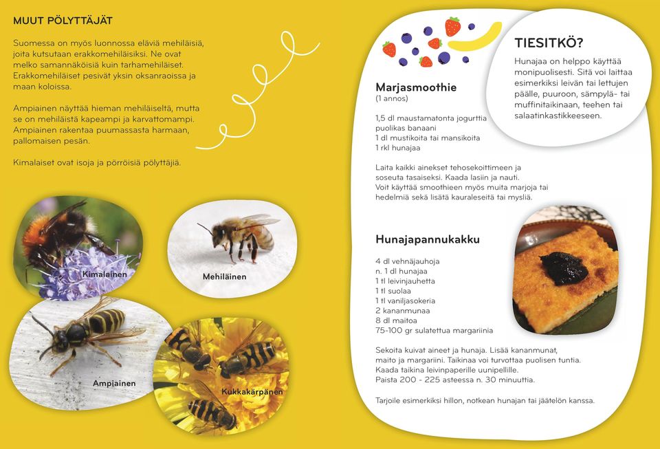 arjasmoothie (1 annos) 1,5 dl maustamatonta jogurttia puolikas banaani 1 dl mustikoita tai mansikoita 1 rkl hunajaa Ö? aita kaikki ainekset tehosekoittimeen ja soseuta tasaiseksi.