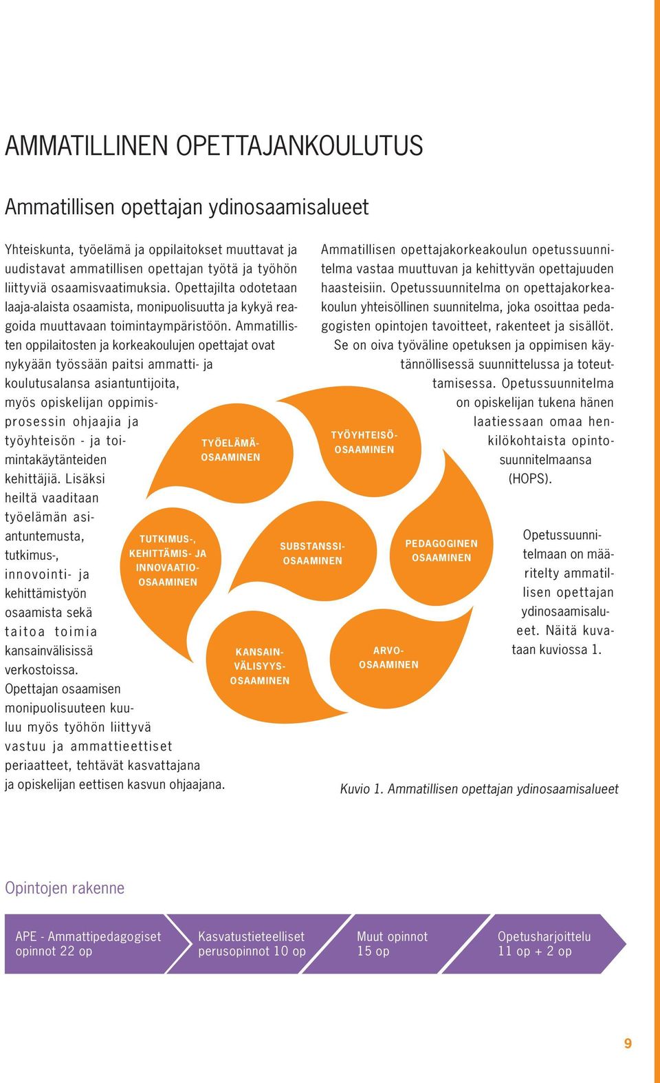 Opettajan osaamisen TUTKIMUS-, TYÖYHTEISÖ- TYÖELÄMÄ- OSAAMINEN OSAAMINEN KEHITTÄMIS- JA INNOVAATIO- OSAAMINEN SUBSTANSSI- PEDAGOGINEN OSAAMINEN OSAAMINEN KANSAIN- ARVO- VÄLISYYS- OSAAMINEN OSAAMINEN