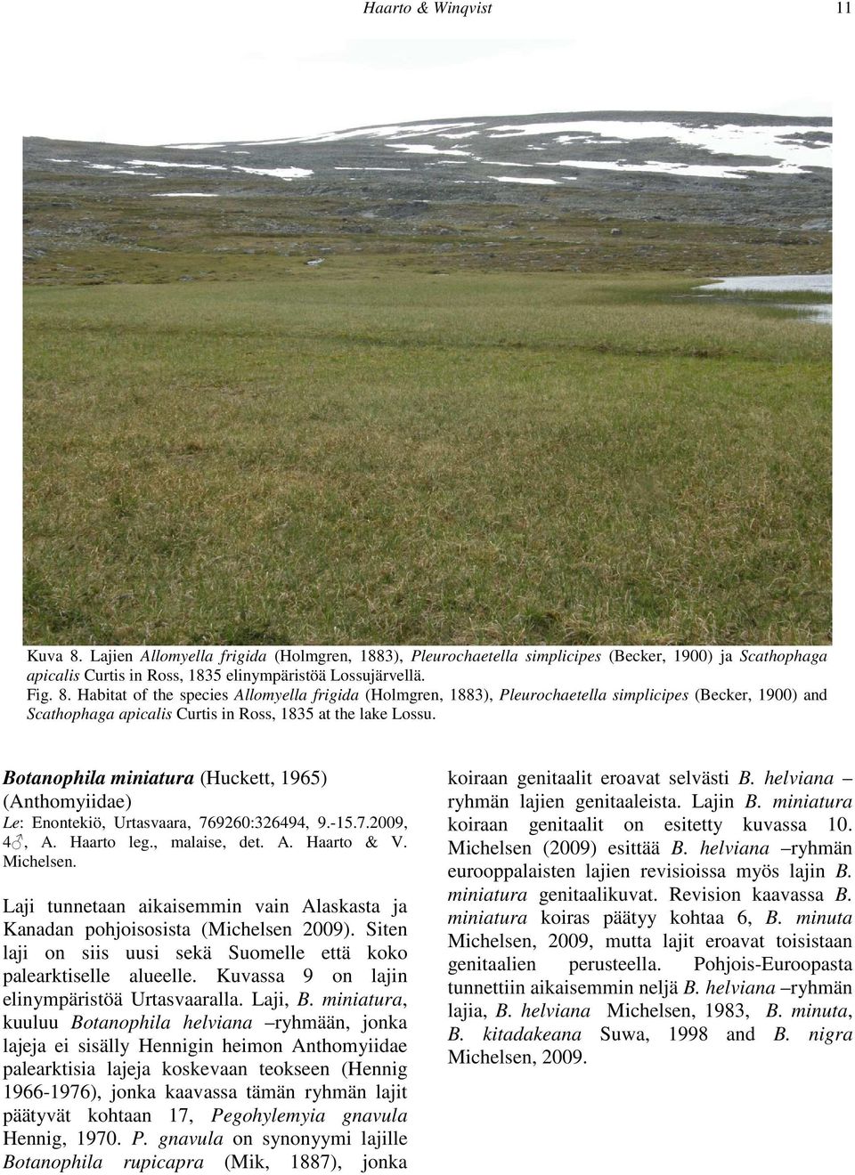 Laji tunnetaan aikaisemmin vain Alaskasta ja Kanadan pohjoisosista (Michelsen 2009). Siten laji on siis uusi sekä Suomelle että koko palearktiselle alueelle.