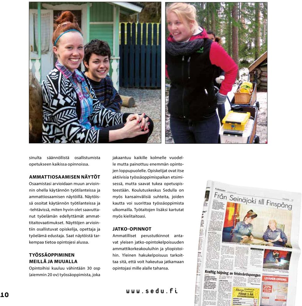 Näyttöjen arviointiin osallistuvat opiskelija, opettaja ja työelämä edustaja. Saat näytöistä tarkempaa tietoa opintojesi alussa.