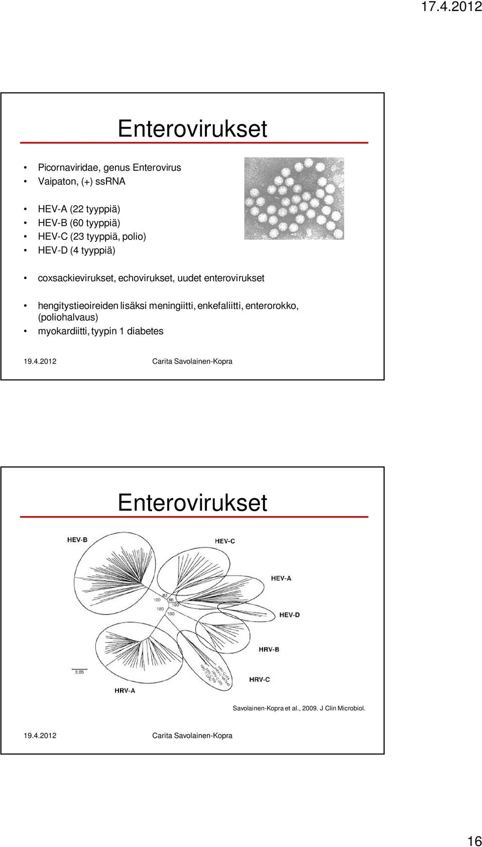 enterovirukset hengitystieoireiden lisäksi meningiitti, enkefaliitti, enterorokko,