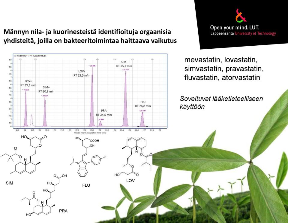 mevastatin, lovastatin, simvastatin, pravastatin,