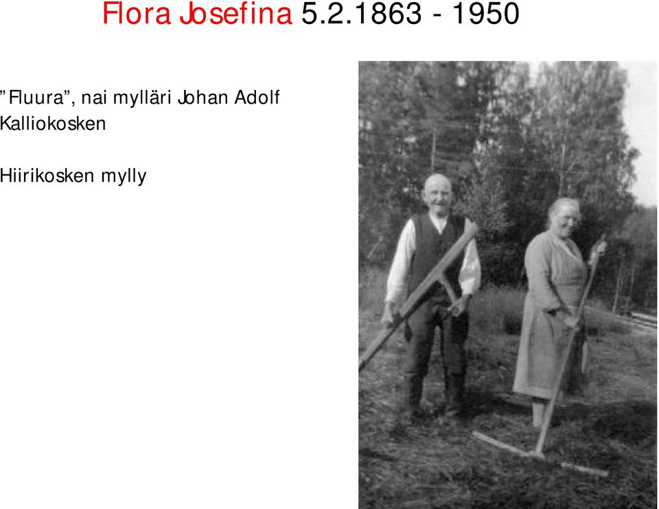 mylläri Johan Adolf