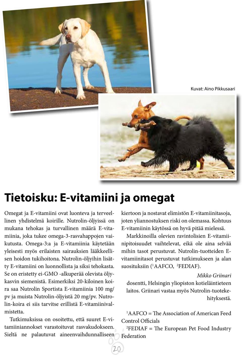 Omega-3:a ja E-vitamiinia käytetään yleisesti myös erilaisten sairauksien lääkkeellisen hoidon tukihoitona. Nutrolin-öljyihin lisätty E-vitamiini on luonnollista ja siksi tehokasta.