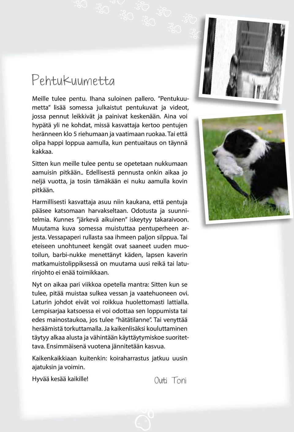 Sitten kun meille tulee pentu se opetetaan nukkumaan aamuisin pitkään.. Edellisestä pennusta onkin aikaa jo neljä vuotta, ja tosin tämäkään ei nuku aamulla kovin pitkään.