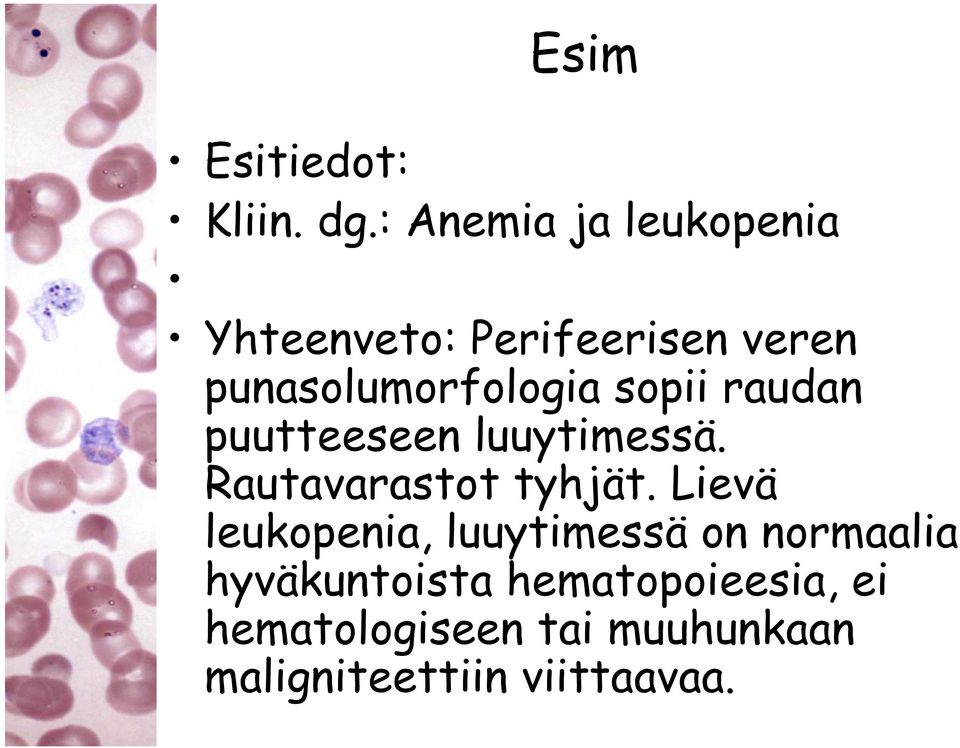 sopii raudan puutteeseen luuytimessä. Rautavarastot tyhjät.