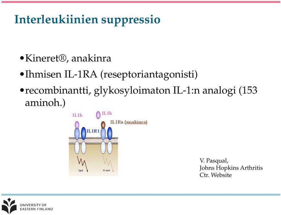 recombinantti, glykosyloimaton IL-1:n analogi