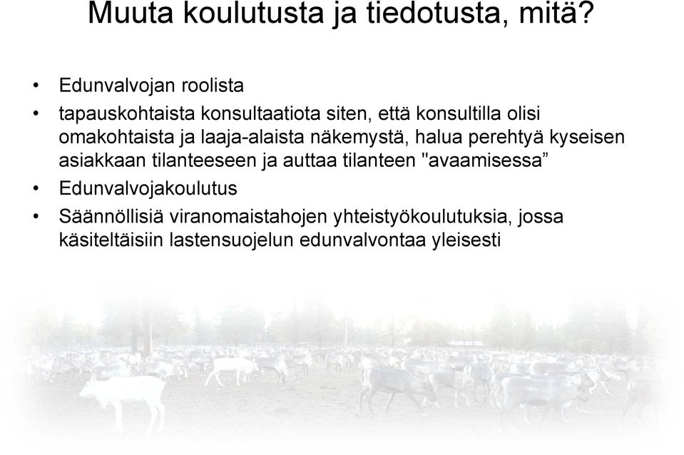 omakohtaista ja laaja-alaista näkemystä, halua perehtyä kyseisen asiakkaan tilanteeseen ja