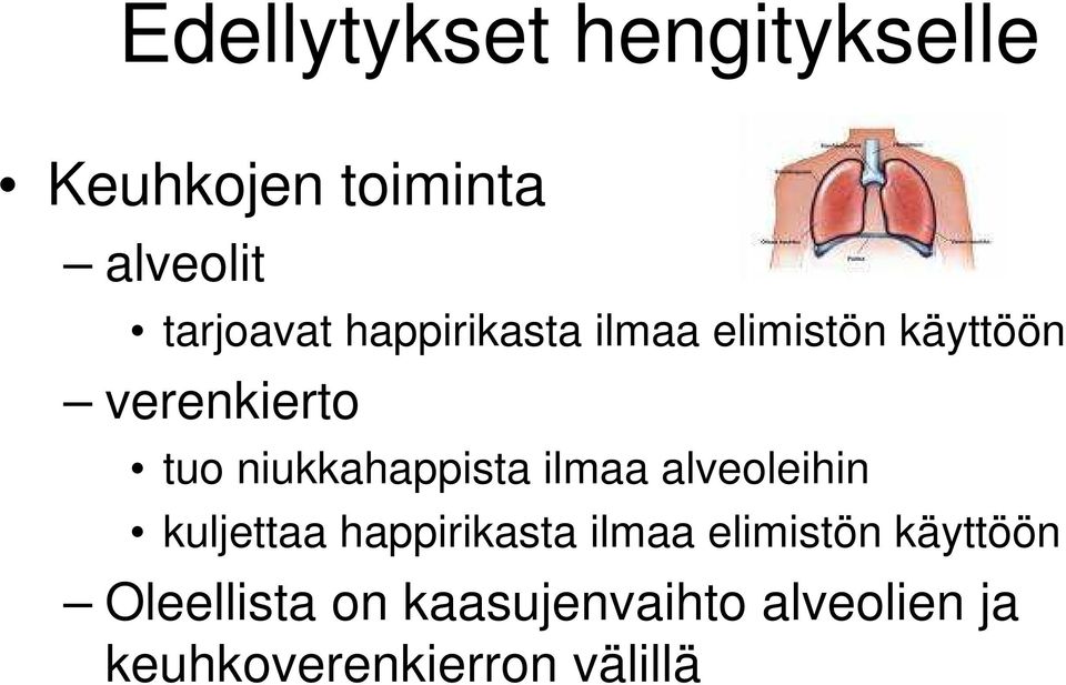 niukkahappista ilmaa alveoleihin kuljettaa happirikasta ilmaa