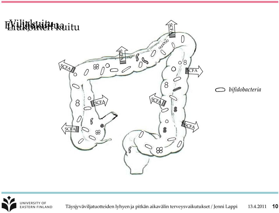 Täysjyväviljatuotteiden lyhyen ja pitkän