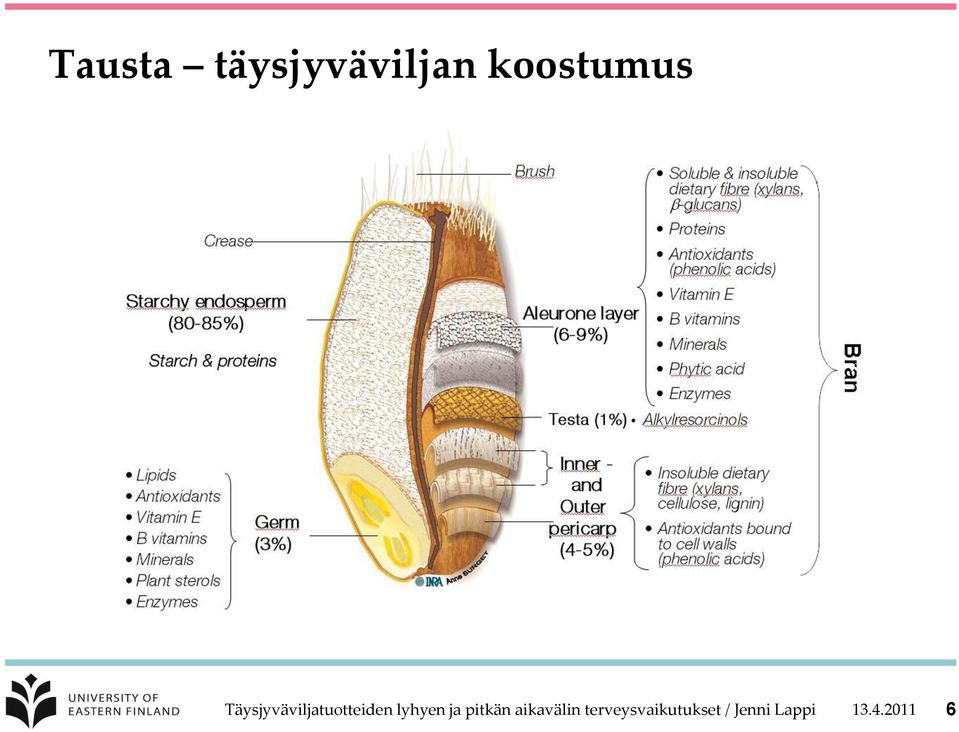 ja pitkän aikavälin