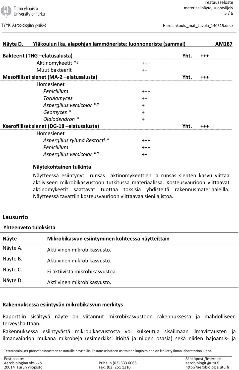 Aspergillus ryhmä Restricti * Aspergillus versicolor *ª Näytteessä esiintynyt runsas aktinomykeettien ja runsas sienten kasvu viittaa aktiiviseen mikrobikasvustoon tutkitussa materiaalissa.