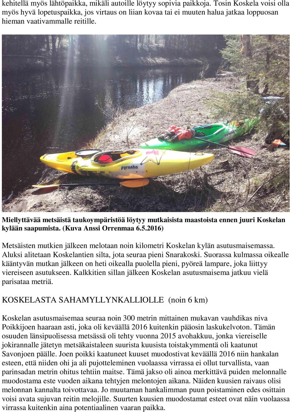 Miellyttävää metsäistä taukoympäristöä löytyy mutkaisista maastoista ennen juuri Koskelan kylään saapumista. (Kuva Anssi Orrenmaa 6.5.