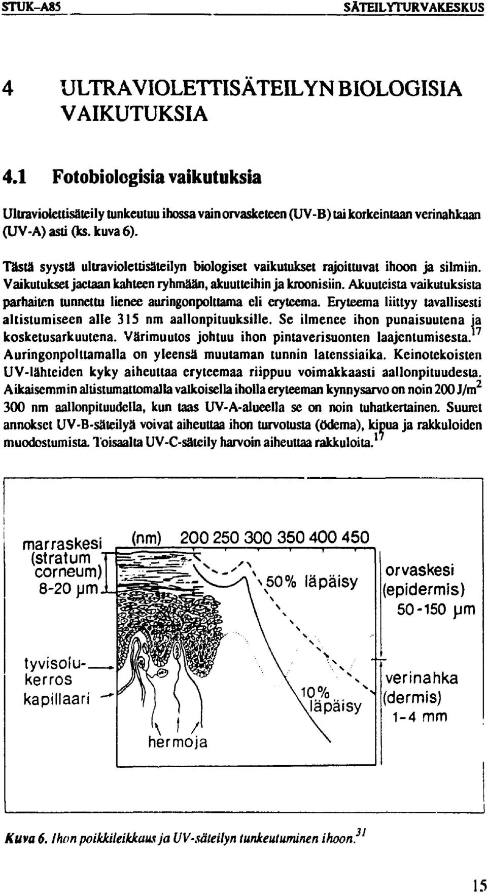 Tästä syystä ultraviolettisäteilyn biologiset vaikutukset rajoittuvat ihoon ja silmiin. Vaikutukset jaetaan kahteen ryhmään, akuutteihin ja kroonisiin.