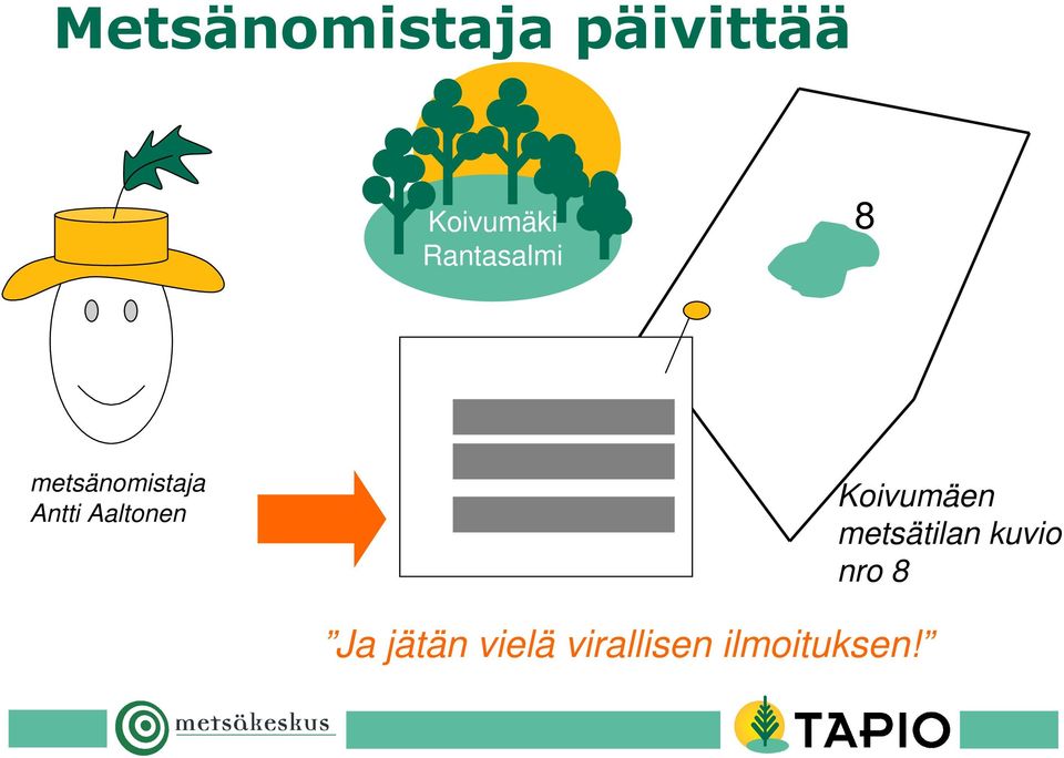 Aaltonen Koivumäen metsätilan kuvio