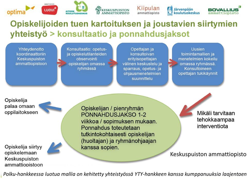 2013 Ammatilliset erityisoppilaitokset Polku-hankkeessa luotua