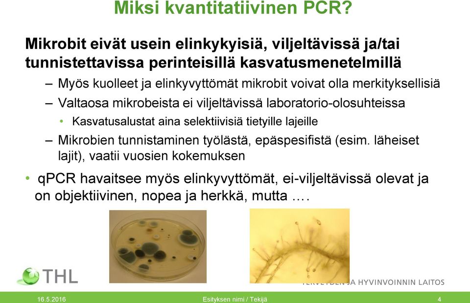 mikrobit voivat olla merkityksellisiä Valtaosa mikrobeista ei viljeltävissä laboratorio-olosuhteissa Kasvatusalustat aina selektiivisiä