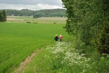 Suomi on strategioiden maa.