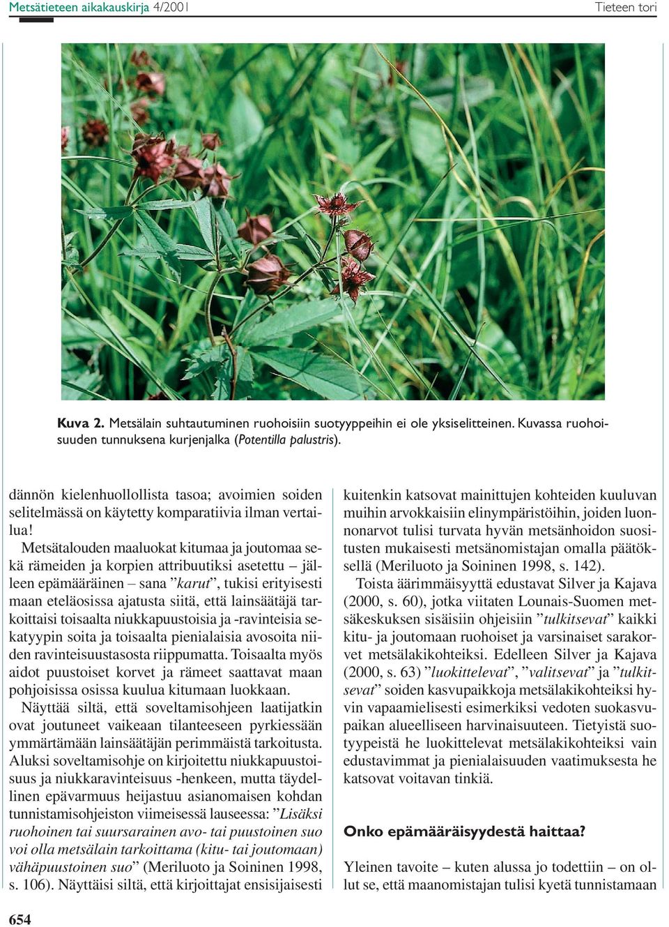 Metsätalouden maaluokat kitumaa ja joutomaa sekä rämeiden ja korpien attribuutiksi asetettu jälleen epämääräinen sana karut, tukisi erityisesti maan eteläosissa ajatusta siitä, että lainsäätäjä